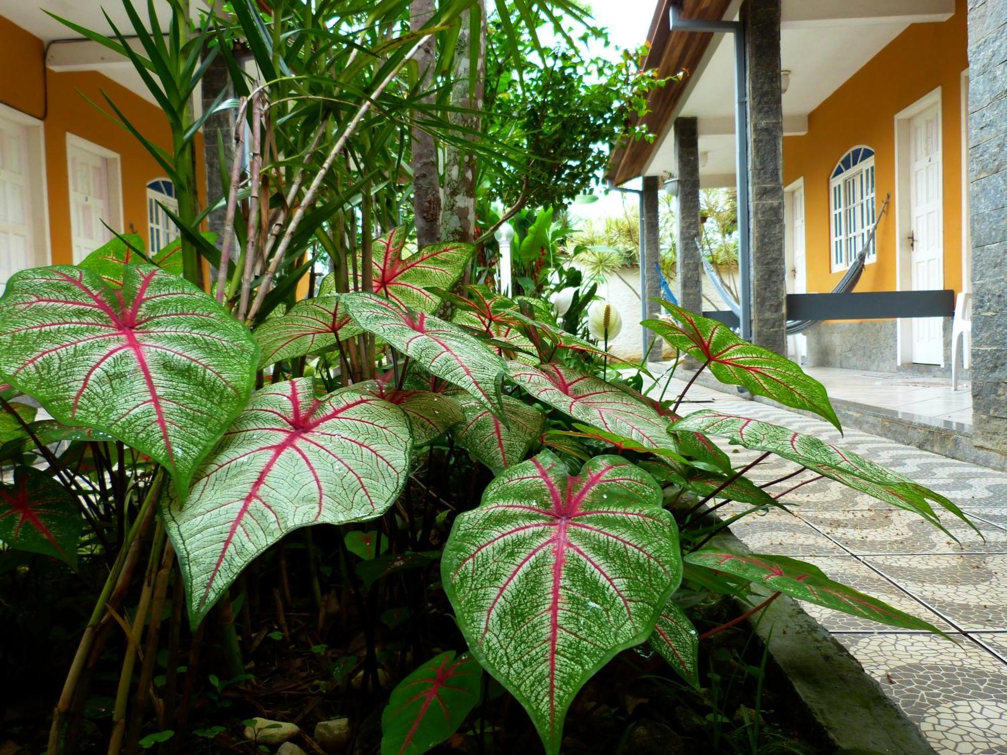 Villa Do Sonho Pousada Hotel Araquari Exterior foto